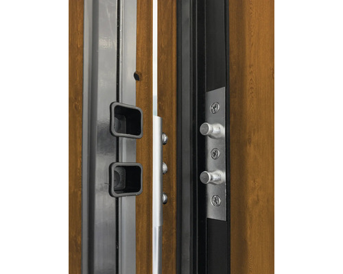 Detailaufnahme einer Tür mit Sicherheitsbeschlägen und Mehrfachverriegelung