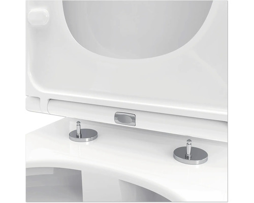 Detailansicht eines Toilettendeckels mit Absenkautomatik und Befestigung