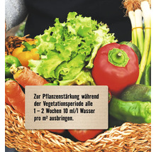 Gemüsekorb mit Salat, Paprika, Karotten und Lauch mit Pflegehinweis