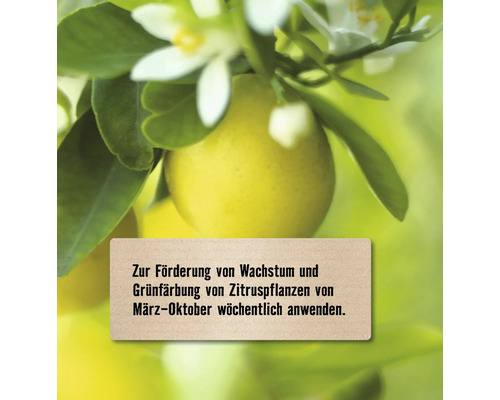 Hinweis zur Förderung von Wachstum und Grünfärbung von Zitruspflanzen, wöchentliche Anwendung von März bis Oktober.