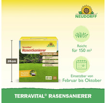 Terra Vital Rasensanierer Packung mit Informationen zur Anwendung und Reichweite, Höhe 28 cm