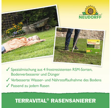TerraVital Rasensanierer Produktanwendung mit Kind auf Rasen und Person mit Rechen.