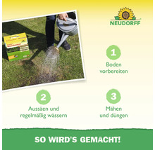 Anleitung zur Rasensanierung mit Produktpackung, Gießkanne und den Schritten: Boden vorbereiten, Aussäen und regelmäßig wässern sowie Mähen und Düngen. Neudorff Logo.
