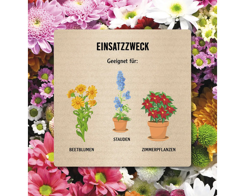 Illustration verschiedener Blumenarten: Beetblumen, Stauden und Zimmerpflanzen