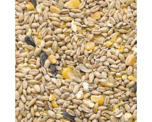 Nahaufnahme von Vogelfutter mit Getreide und Sonnenblumenkernen