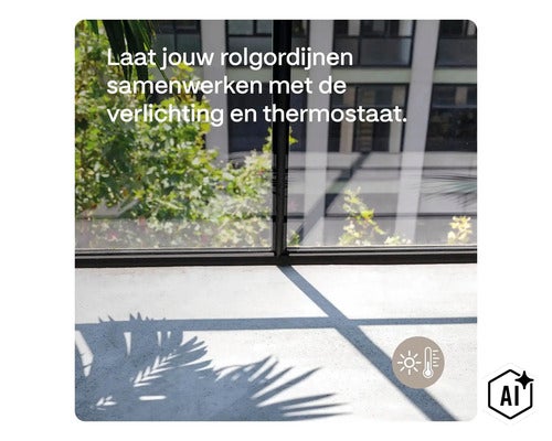 Blick durch ein Fenster auf einen Garten mit Schattenwurf eines Palmenblatts auf den Boden sowie ein Symbol für smarte Klimaregelung. (Image AI modified or generated)