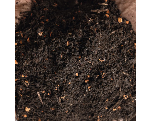 Nahaufnahme von Blumenerde mit kleinen Holzstücken und mineralischen Bestandteilen.