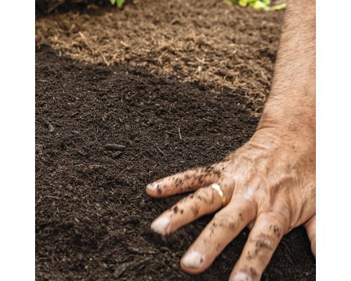 Hand verteilt Pflanzerde im Gartenbeet.