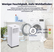 Szene mit einem Luftentfeuchter in einem Raum mit Waschmaschine und Wäschekorb.