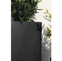 Detailaufnahme eines Pflanzgefäßes aus Schiefer mit Pflanzen