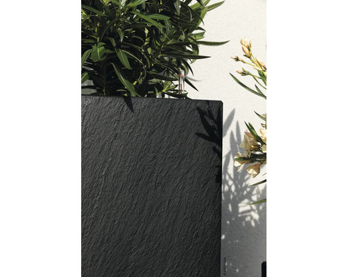 Nahaufnahme eines Pflanzgefäßes mit Schieferstruktur und Pflanzen