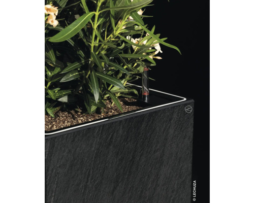 Bepflanzter Pflanzkübel mit Bewässerungssystem