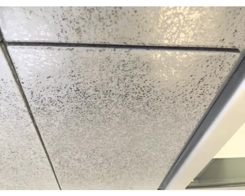 Abgehängte Decke mit Deckenplatten