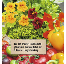 Blumen und Gemüse, arrangiert mit einem Schild mit dem Text: Für alle Kräuter- und Gemüsepflanzen in Topf und Kübel mit 3 Monate-Langzeitwirkung.