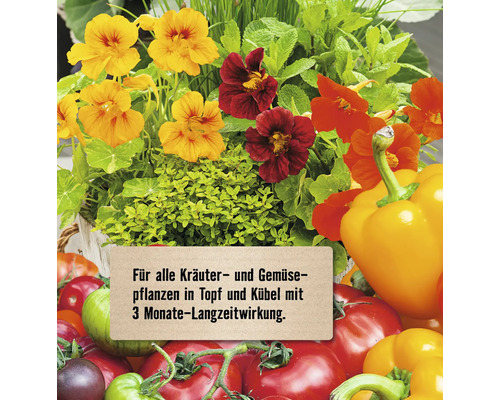 Blumen und Gemüse, arrangiert mit einem Schild mit dem Text: Für alle Kräuter- und Gemüsepflanzen in Topf und Kübel mit 3 Monate-Langzeitwirkung.
