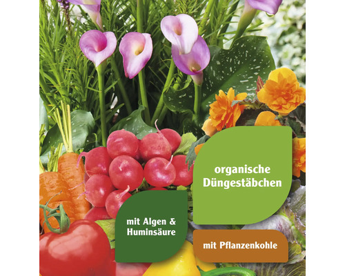Gemüse und Blumen mit der Aufschrift organische Düngestäbchen mit Algen, Huminsäure und Pflanzenkohle