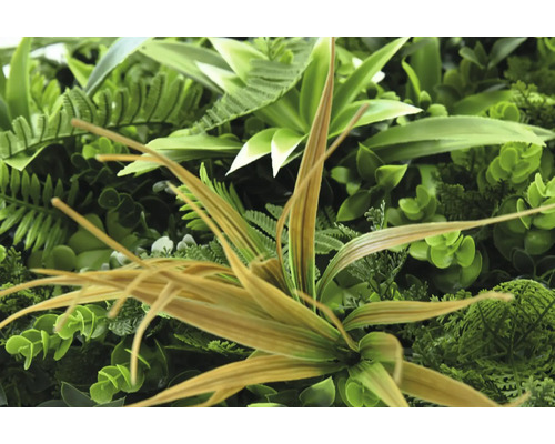 Nahaufnahme einer künstlichen Pflanzenwand mit verschiedenen grünen Blättern