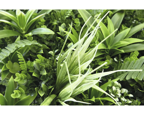 Nahaufnahme einer künstlichen Pflanzenwand mit verschiedenen grünen Pflanzen