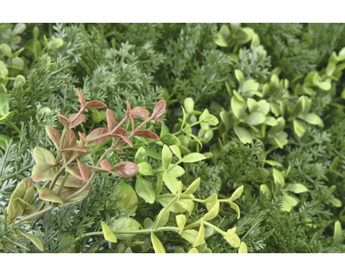 Nahaufnahme einer künstlichen Pflanzenwand mit verschiedenen Grüntönen