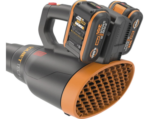 Akkubetriebener Laubbläser mit Akku