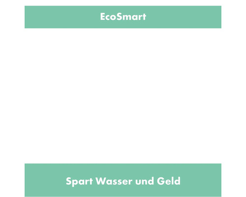 EcoSmart spart Wasser und Geld