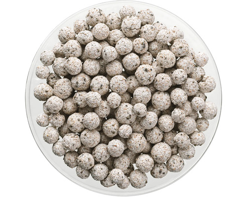 Teichfilterbakterien in einem Glasgefäß