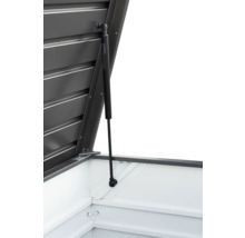 Detailansicht eines geöffneten Geräteschuppens mit Gasdruckfeder