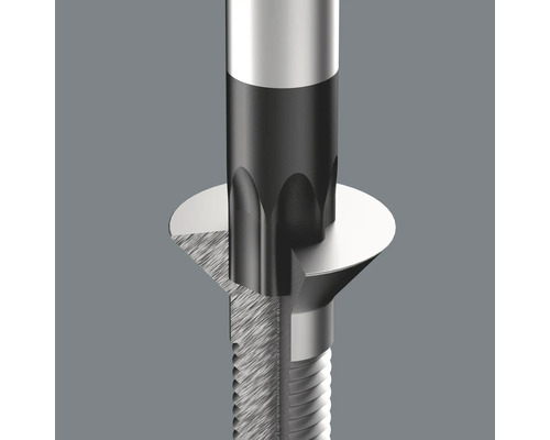 Detailaufnahme einer Schraube mit Torx Antrieb