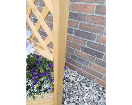 Detailansicht eines Holz-Pflanzkastens mit Rankgitter vor einer Backsteinmauer und Kies