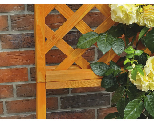 Holzspalier mit gelben Rosen vor einer Backsteinmauer