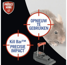 Protect Home Logo. Wiederverwendbare Kill Bar Mausefalle im Einsatz mit Maus.