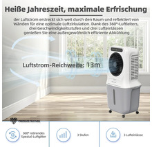Luftkühler im Raum mit einer Luftstromreichweite von 13 Metern, 360 Grad rotierendes Spezial-Luftgitter, drei Stufen und drei Lufteinlässe