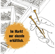 Illustration von Schrauben, die einzeln im Markt erhältlich sind
