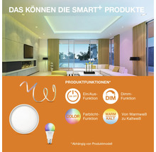 Produktbild einer modernen Wohnung mit SMART+ Produkten und ihren Funktionen: Ein- und Ausschalten, Dimmen, Farblichtfunktion und Wechsel von Warmweiß zu Kaltweiß.