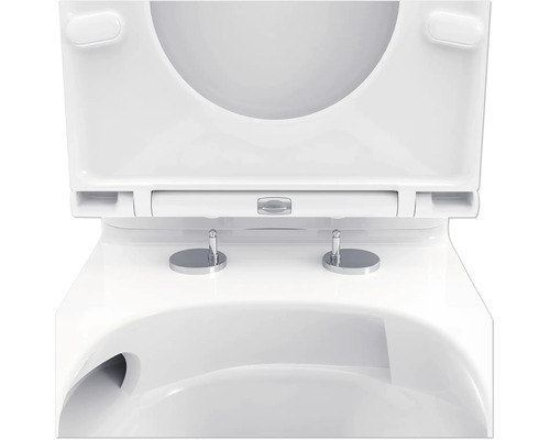 Aufnahme eines WC-Sitzes mit offenem Deckel.