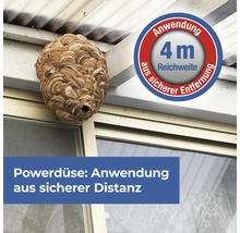 Wespennest an einem Gebäude mit Anwendungshinweis für eine sichere Entfernung aus vier Metern Entfernung.