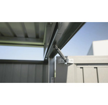 Detailansicht einer Gerätehaus-Tür mit Gasdruckfeder