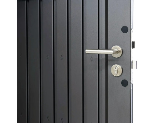 Detailansicht einer Haustür mit Türgriff und Schloss