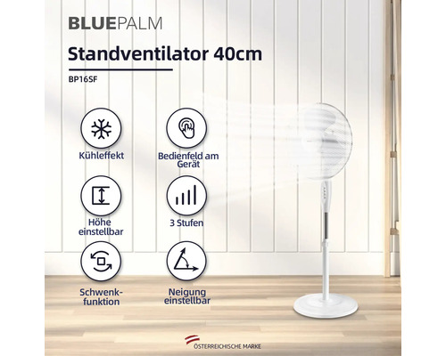 BluePalm Standventilator 40 cm mit einstellbarer Höhe und Neigung