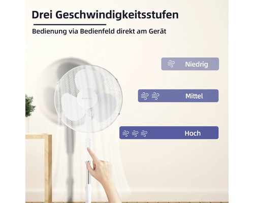 Standventilator mit drei Geschwindigkeitsstufen und Bedienfeld am Gerät