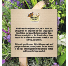 Informationen zur Schmetterlingsfreundlichkeit von Blütenpflanzen