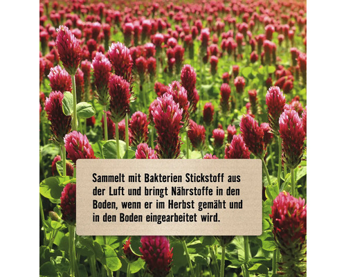 Feld mit Rotklee und Hinweis zum Sammeln von Stickstoff aus der Luft