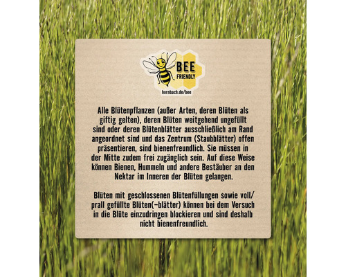 Informationstafel mit Text zur Bienenfreundlichkeit von Blütenpflanzen