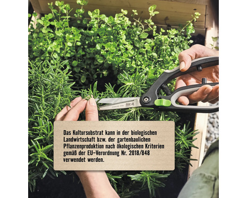 Eine Person schneidet Kräuter mit einer Gartenschere der Marke forq in einem Hochbeet.