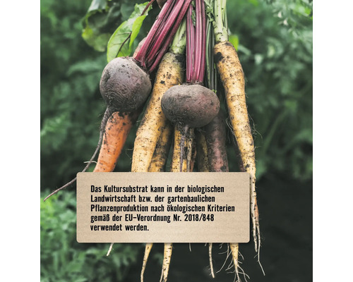 Bündel Karotten und rote Rüben mit Hinweistext zur Verwendung in der biologischen Landwirtschaft