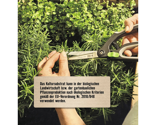 Gartenschere schneidet Rosmarin, Hinweis auf Eignung des Kultursubstrats für den ökologischen Landbau nach EU-Verordnung.