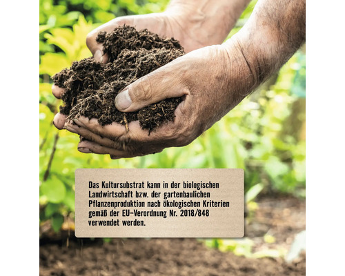 Hände halten Pflanzenerde, geeignet für biologische Landwirtschaft gemäß EU-Verordnung 2018/848