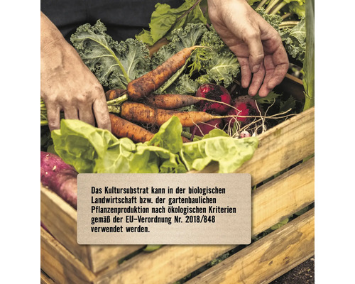 Gemüseernte in Holzkiste mit Händen