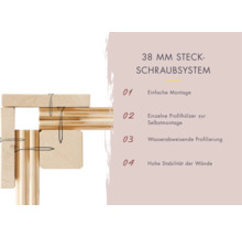 38 Millimeter Steckschraubsystem mit Montagehinweisen und Holzbefestigungen