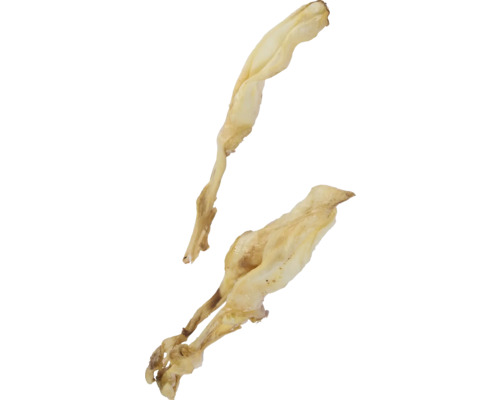 Zwei Spargelstangen